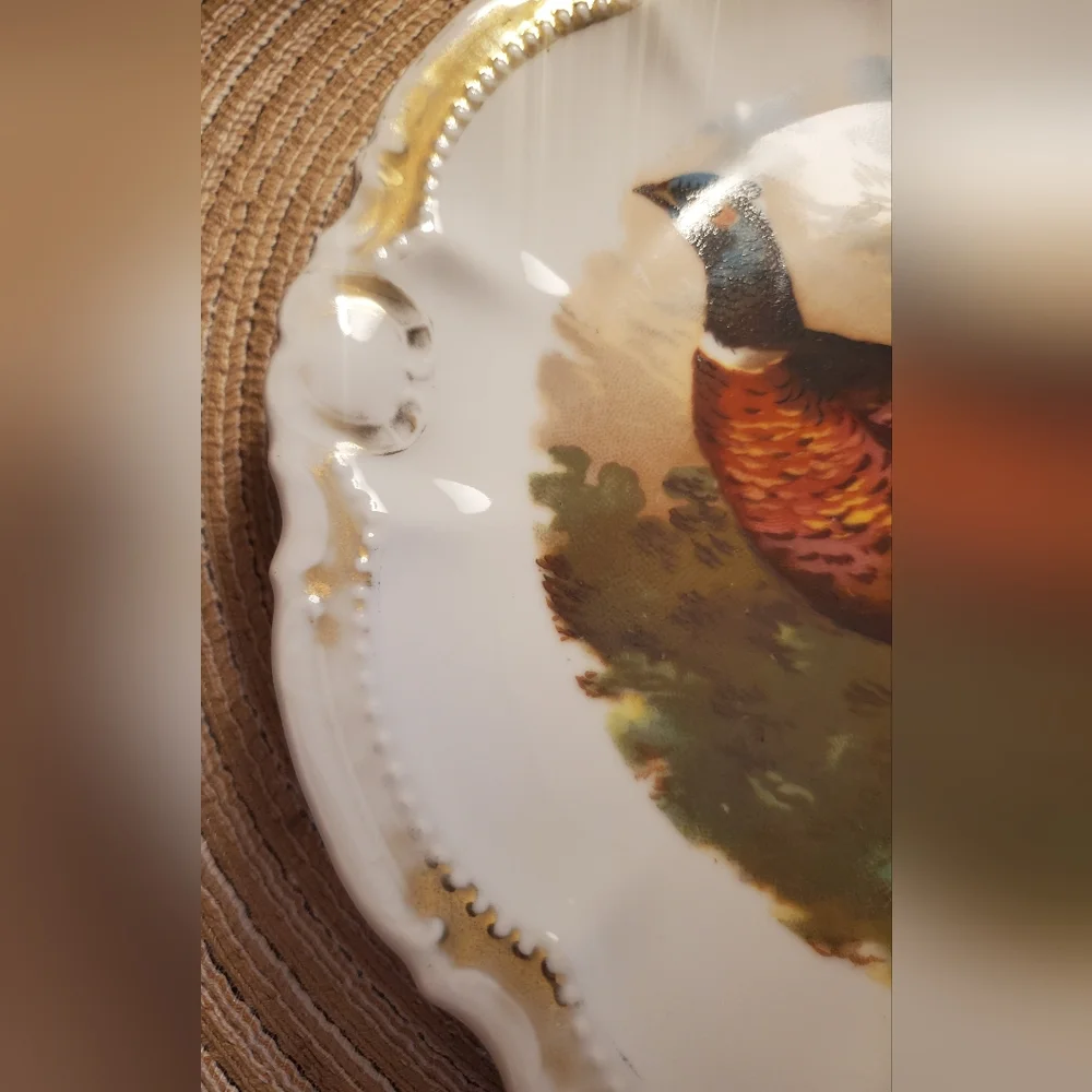 Bavarian Vintage Decorative plate , early 1900s - Picture 8 of 12